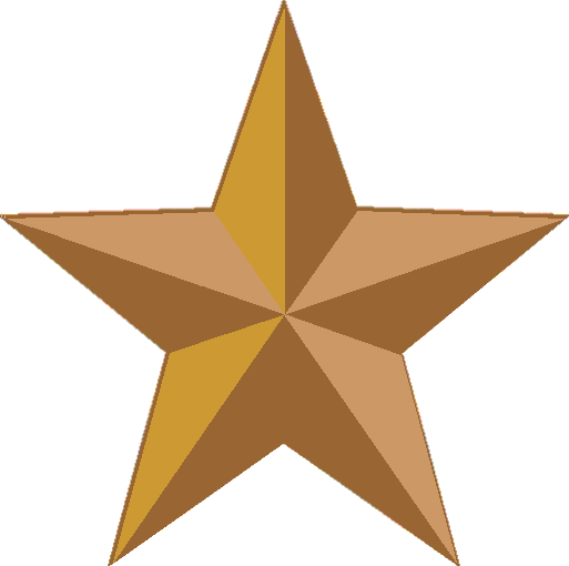 Bronze Battle Star