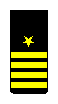 Captain sleeve insignia
