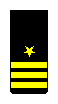 Commander sleeve insignia